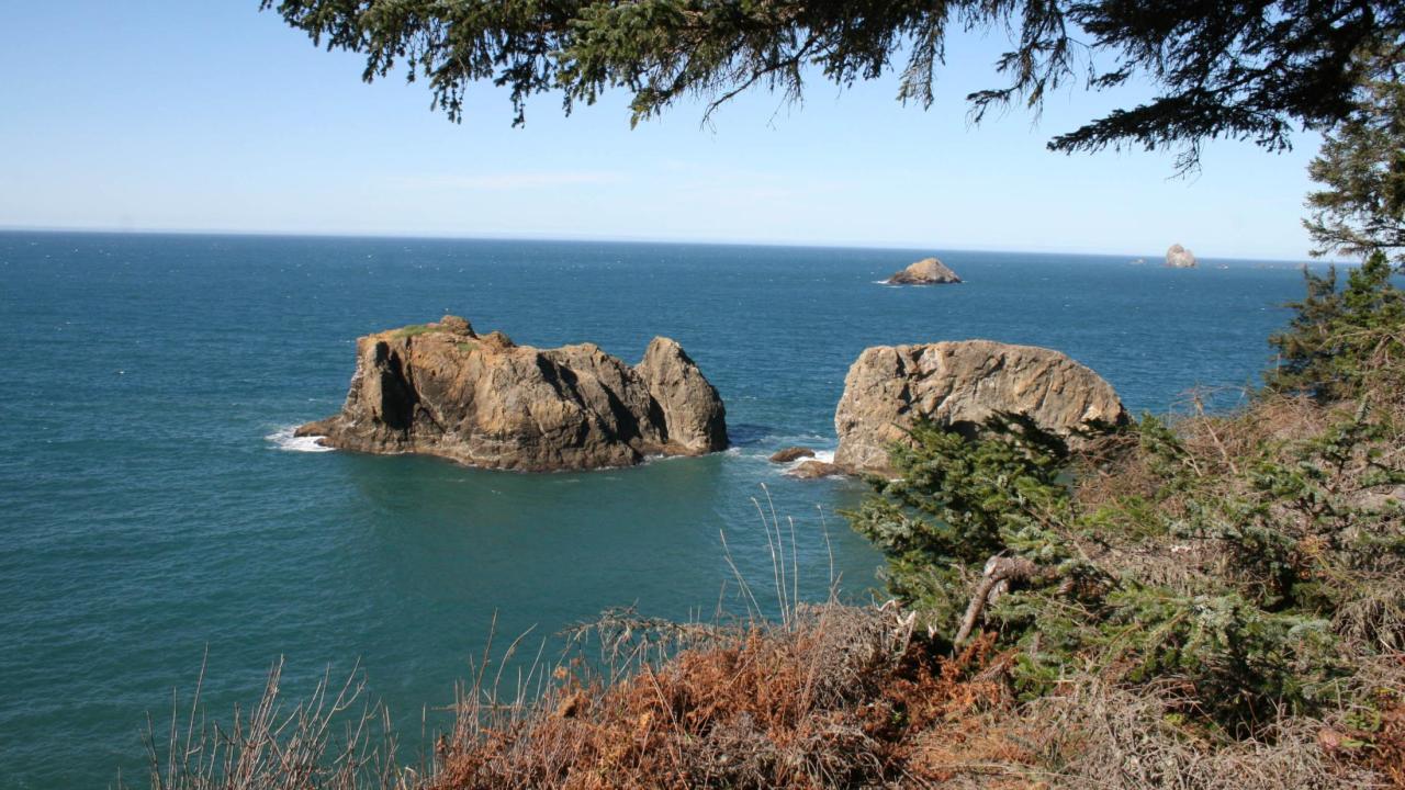 Oregon Coast
