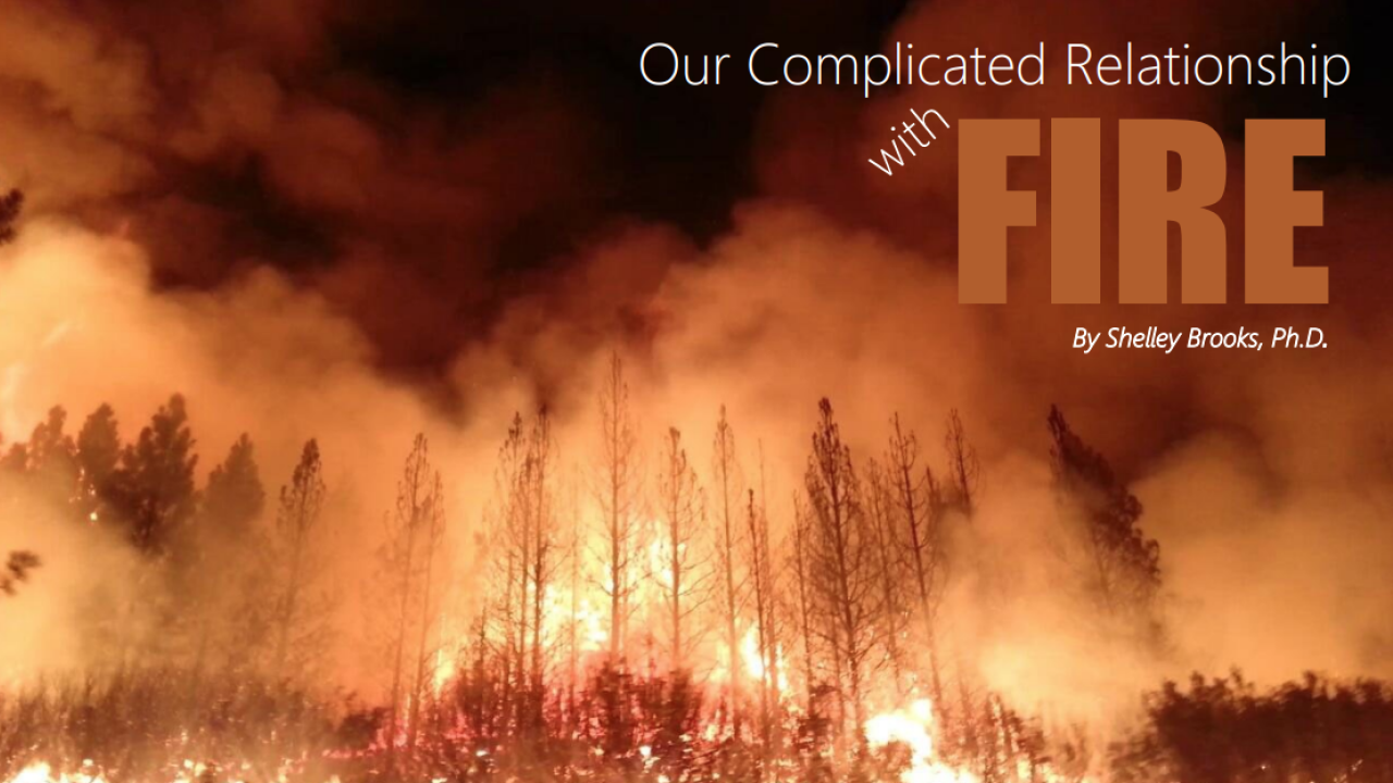 fire