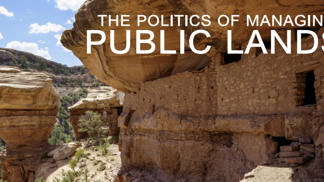public lands