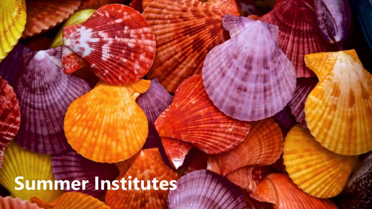 Seashells