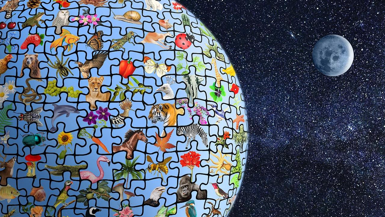 Biodiversity on Earth