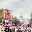 climate protest
