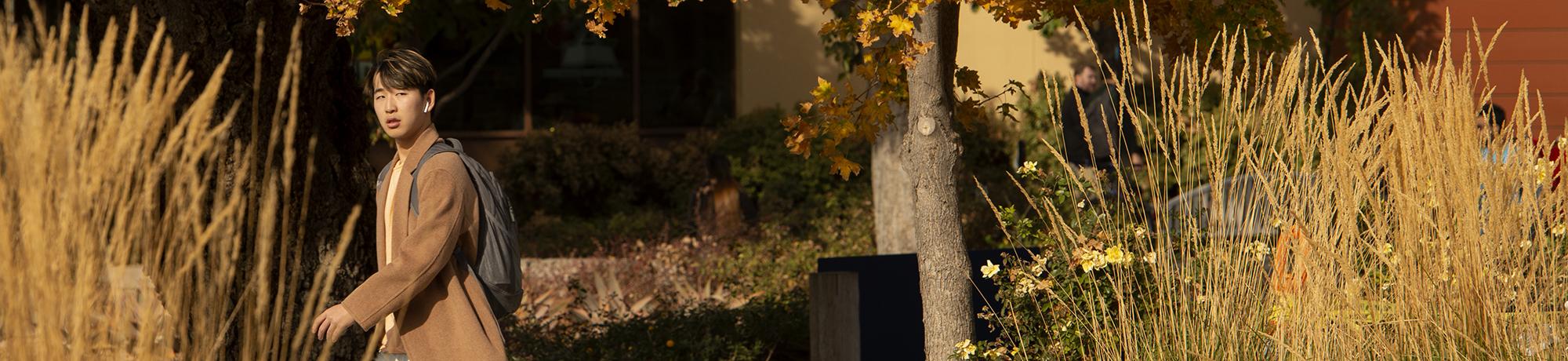 autum